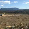 Mt Barrow Road