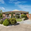 Dafnis Drive