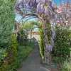 Dafnis Drive