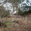 West Tamar Rd