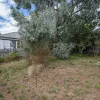 Cridge Street