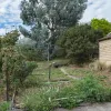 Cridge Street
