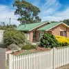 Honeysuckle Grove