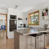Honeysuckle Grove