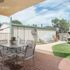 Honeysuckle Grove