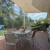 Honeysuckle Grove