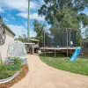 Honeysuckle Grove