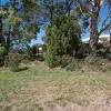 Penrith Street
