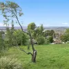 Riverview Road