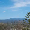 Delungra Road