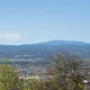 Delungra Road