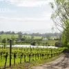 Relbia Road
