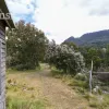 Mount Barrow Road