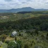 Mount Barrow Road