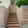 Abbott Street