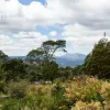 Mount Barrow Road