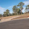 Jinglers Drive
