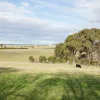 Collins Street