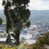 Delungra Road