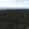 Lilydale Road