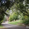 Camerons Road
