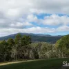 Camerons Road