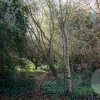 West Tamar Road