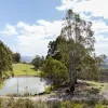Notley Hills Road