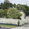 Pitt Avenue