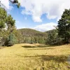 Brown Mountain Road