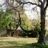 Dowling Street