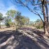 Fannys Bay Road
