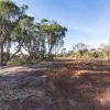 Fannys Bay Road