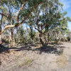 Fannys Bay Road