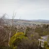 Punchbowl Road