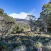 Mount Barrow Road
