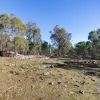 Lilydale Road
