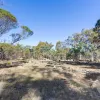 Lilydale Road