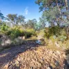 Lilydale Road