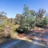 Lilydale Road
