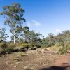 Lilydale Road