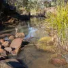 Lilydale Road