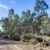 Lilydale Road