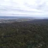 Lilydale Road