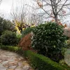Rajee Place