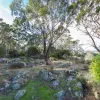 Mount Barrow Road