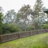 Punchbowl Road