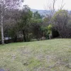 Punchbowl Road