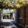 Pedder Street