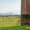 Emu Plain Road